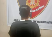 Usai Tebas Korban Dengan Parang ,Pelaku  Serahkan Diri Kepolsek Mandiangin 