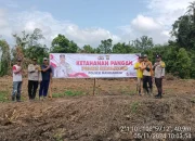 Tanpa Kenal Lelah Kapolsek Mandiangin Terjun Langsung Dukung Ketahanan Pangan  Program 100 Hari Presiden – Wakil Presiden RI