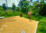 Polsek Batang Asai Dukung Program Ketahanan Pangan