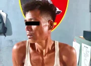 Tim Serigala Unit Reskrim Polsek Kota Sarolangun Sergap Pelaku Penganiayaan Berat ,Korban Patah Tulang 