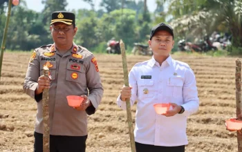 Dukung Penuh Program Ketahanan Pangan Polres Sarolangun Gasss Poll Tanam Jagung Serentak Kuartal III 