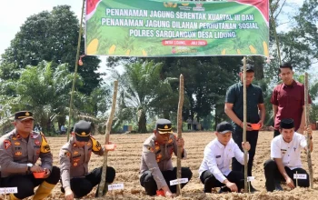 Dukung Astacita Presiden RI, Wabup Gerry Trisatwika Tanam Jagung Serentak Kuartal III di Desa Lidung