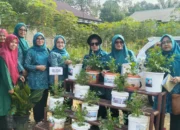 Meriahkan HUT RI Ke 80 ,Pemdes Bukit Tigo Gelar Lomba Kebersihan dan Hatinya PKK