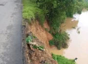 Ruas Jalan Sarolangun- Muara Tembesi Terancam Putus Akibat Abrasi