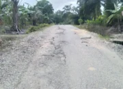 Jalan Menuju Arah Desa Argo Sari Banyak Yang Rusak 