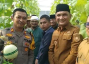 Kapolsek Pelawan Singkut Dampingi Bupati Sarolangun  Panen Buah Melon di Desa Pasar 