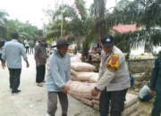 H .Slamet Kastalo Angkat Semen Goro Bersama Perbaiki Jembatan Hampir Roboh Di Desa Sungai Merah Kecamatan Pelawan 