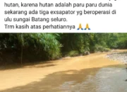 Warga Raden Anom Buat Surat Terbuka Minta Aktivitas PETI Dalam Kawasan Hutan Lindung di Berantas